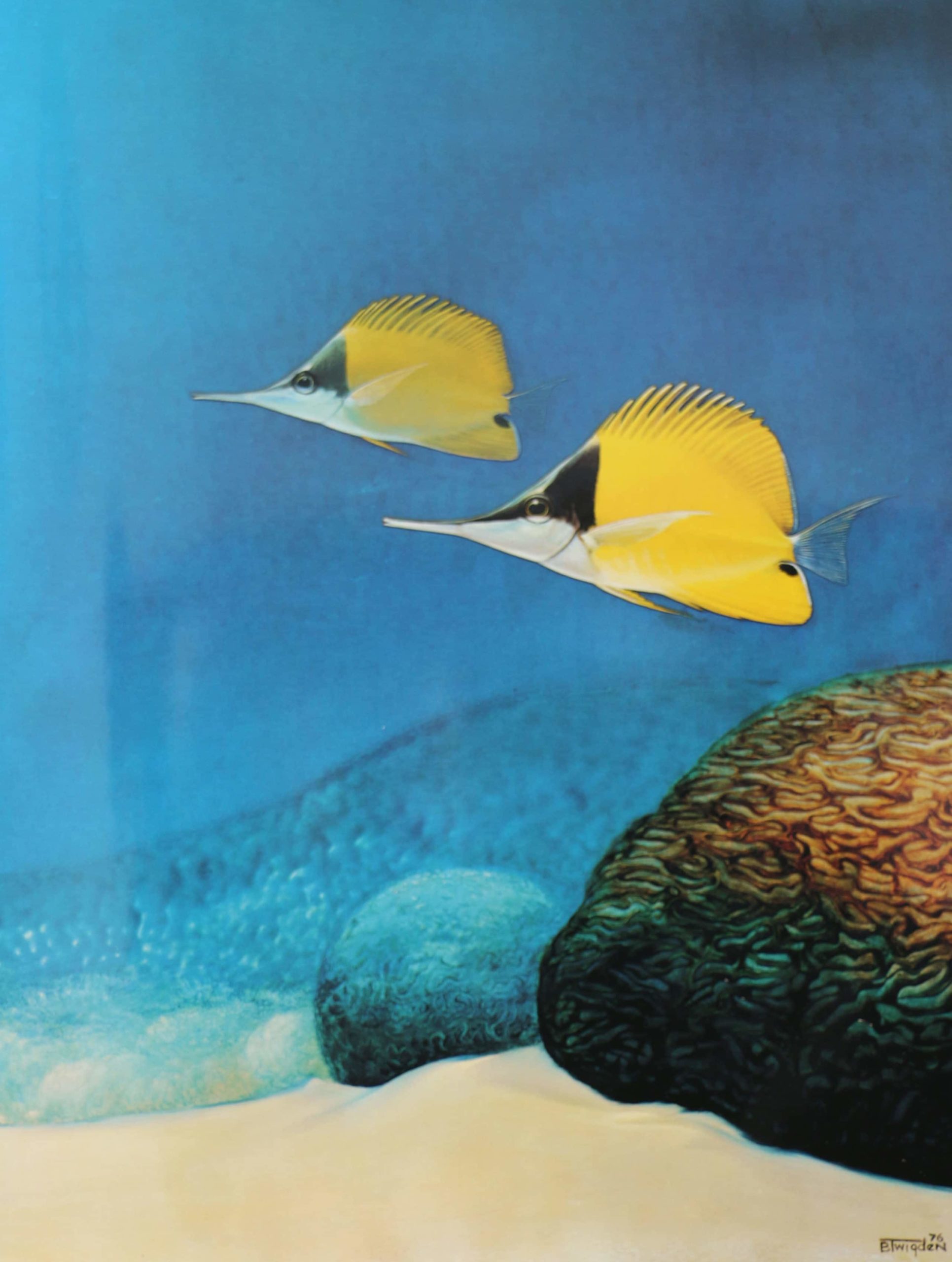 Two yellow reef fish in clear blue water