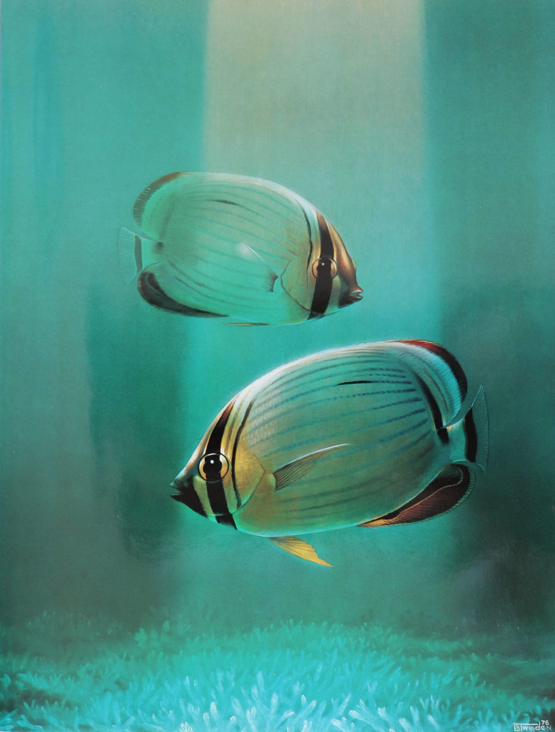 Two pale reef fish in luminous turquoise water