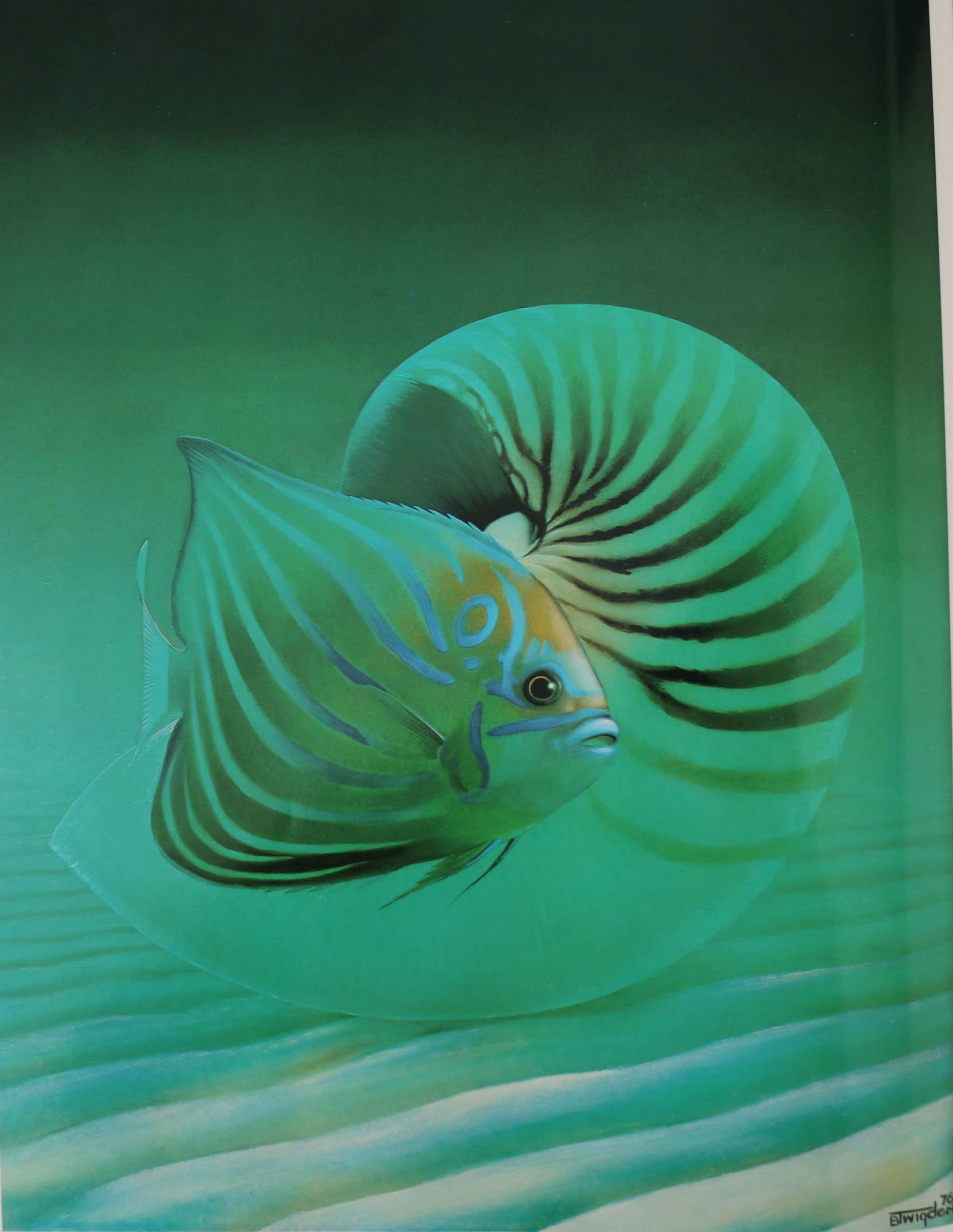 A pale spiral shell form suspended in green water